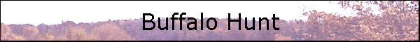 Buffalo Hunt